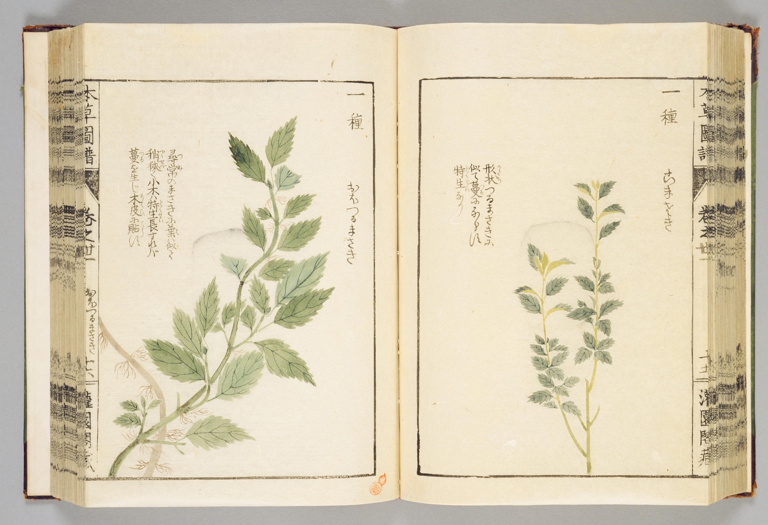 no HD illustration available (3)