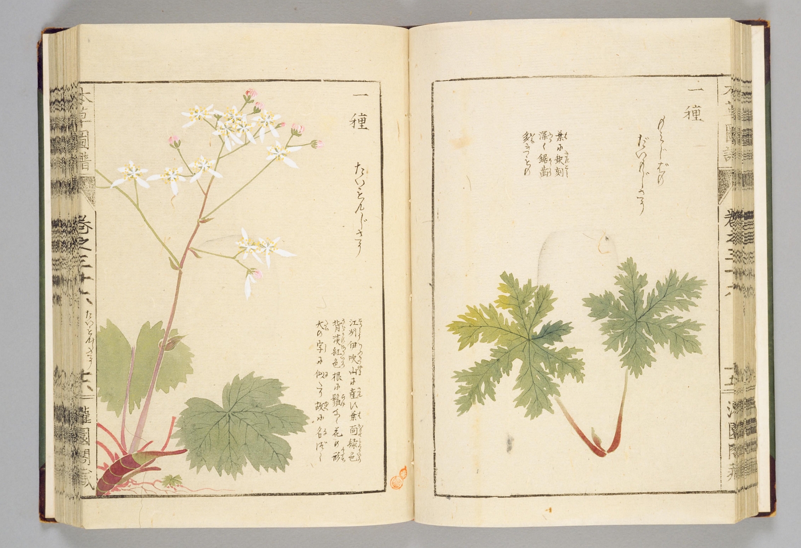 no HD illustration available (3)