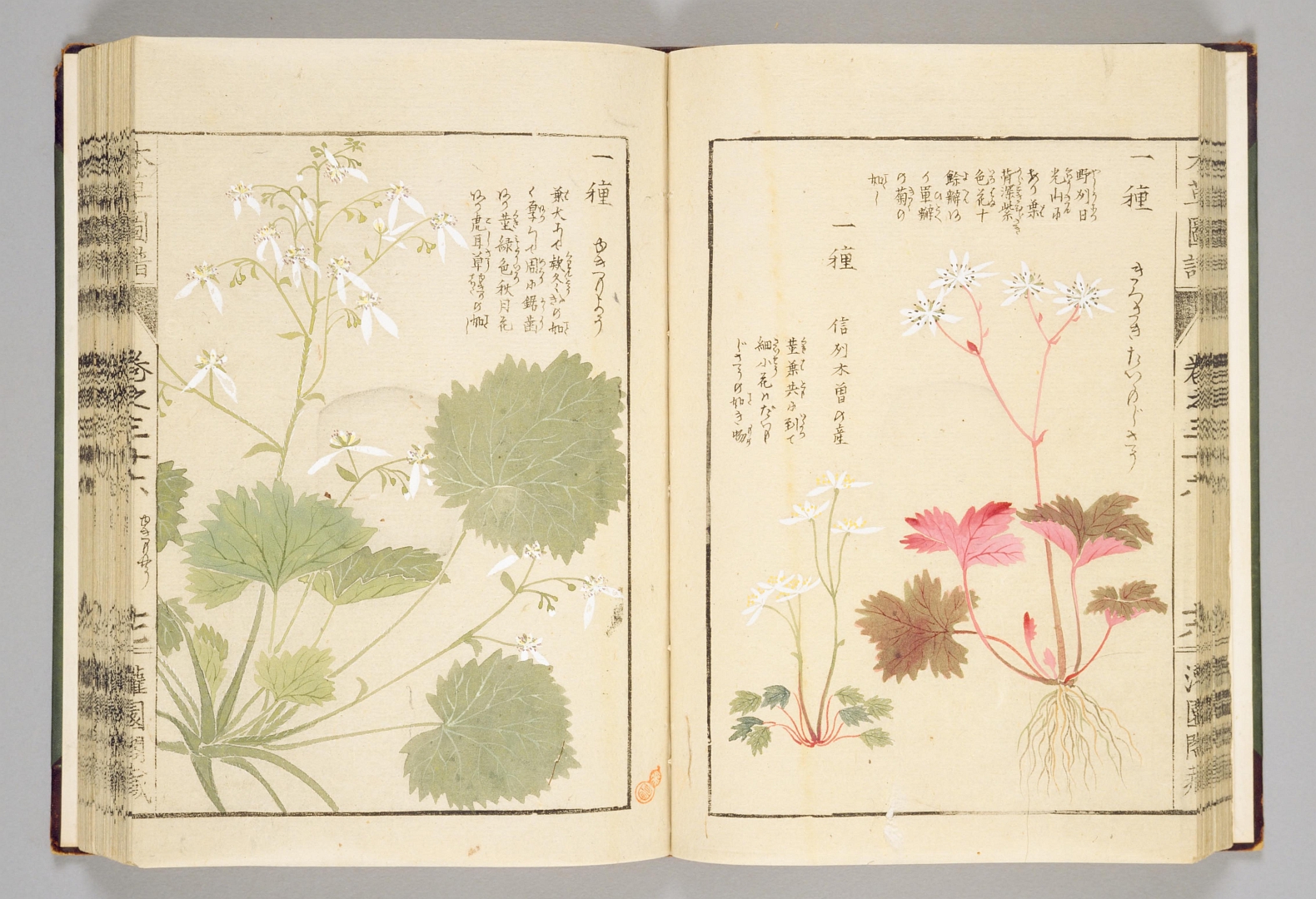 no HD illustration available (3)