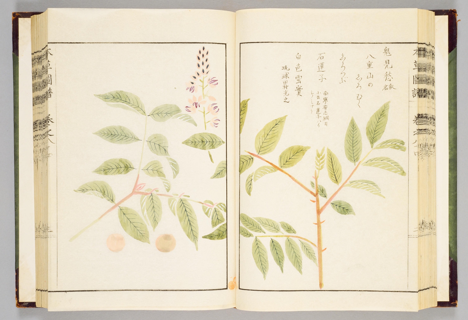 no HD illustration available (3)