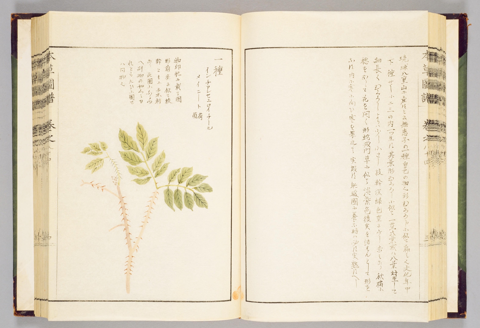 no HD illustration available (3)