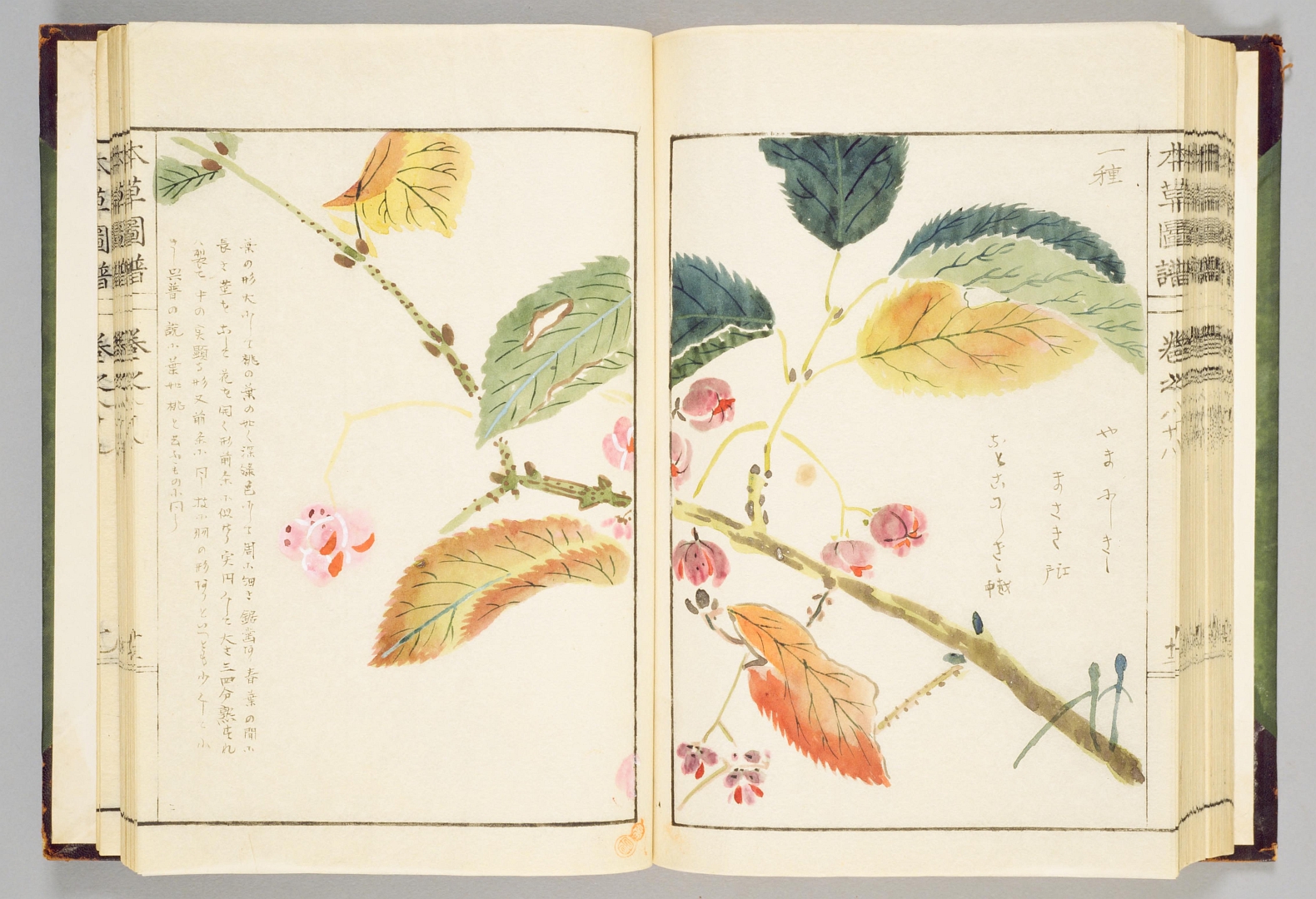 no HD illustration available (3)