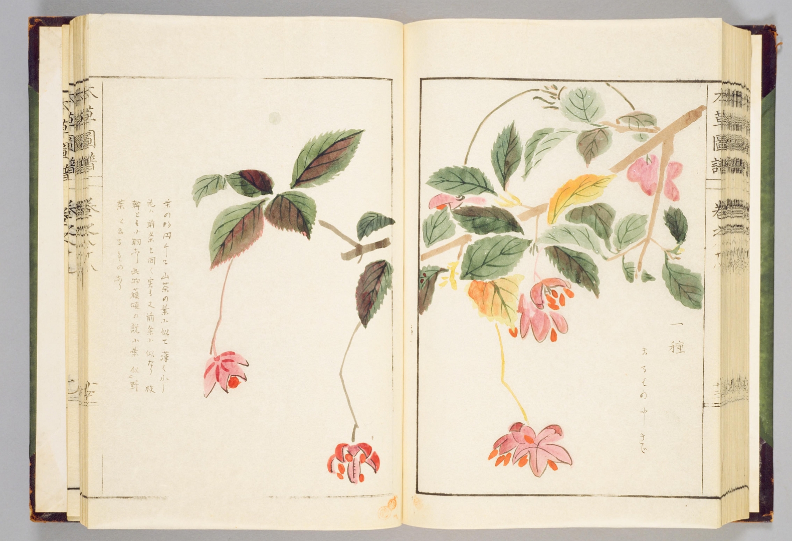 no HD illustration available (3)