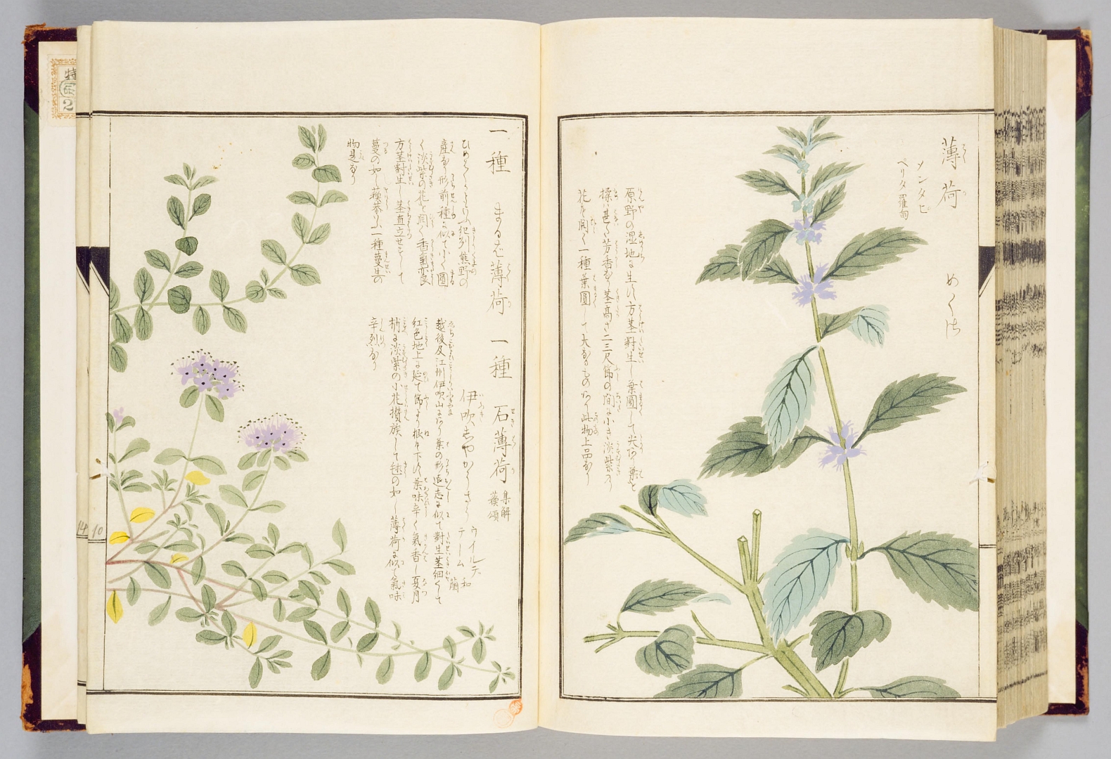 no HD illustration available (3)