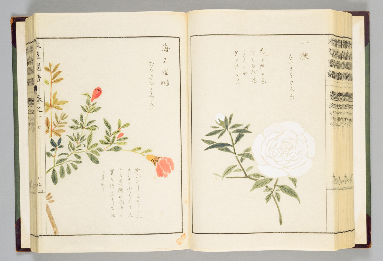 no HD illustration available (3)