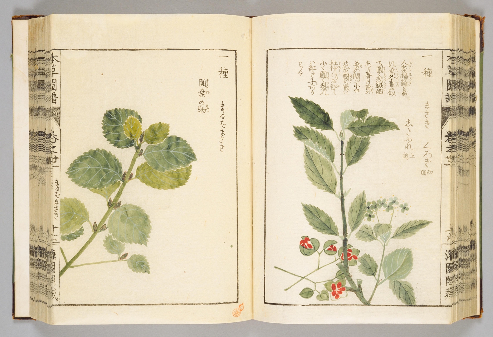 no HD illustration available (3)