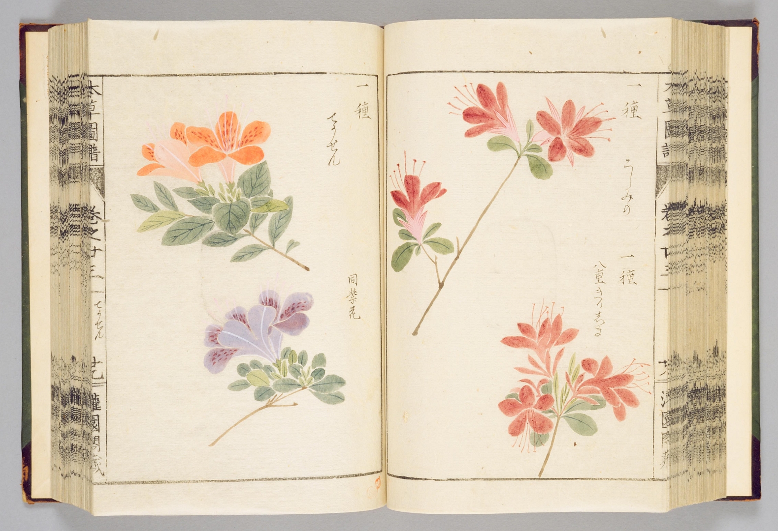 no HD illustration available (3)