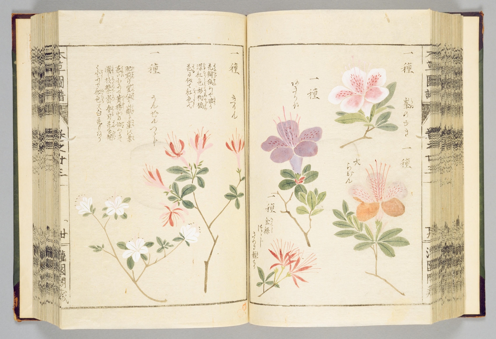 no HD illustration available (3)