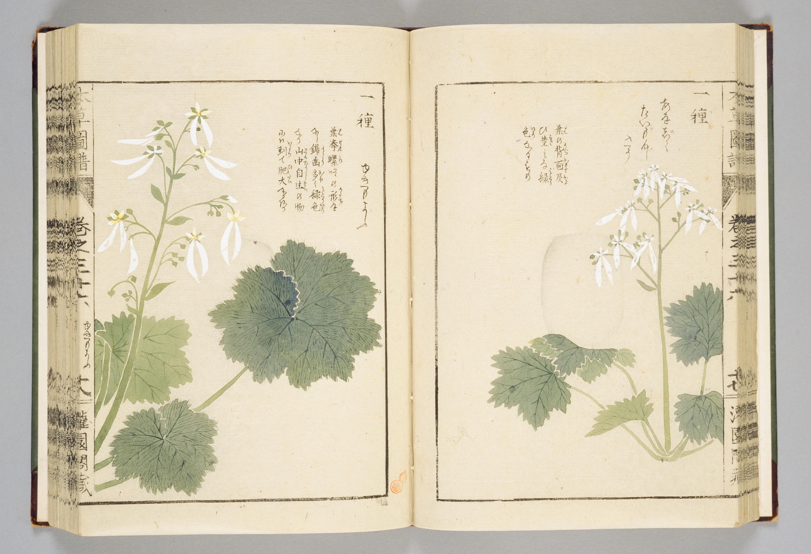 no HD illustration available (3)