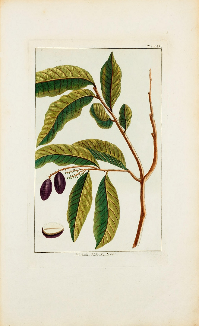 no HD illustration available (3)