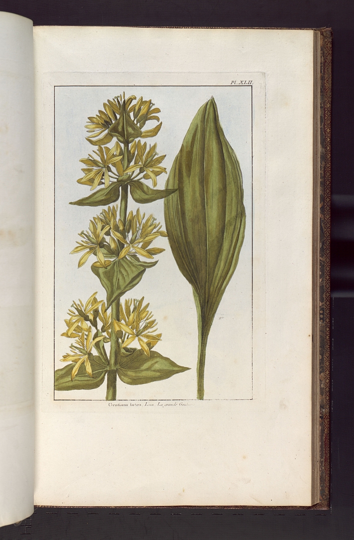 no HD illustration available (3)