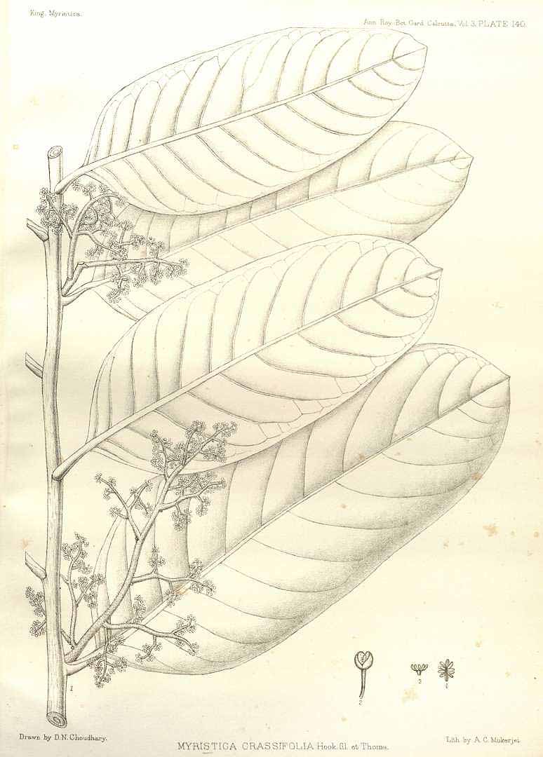 no HD illustration available (3)