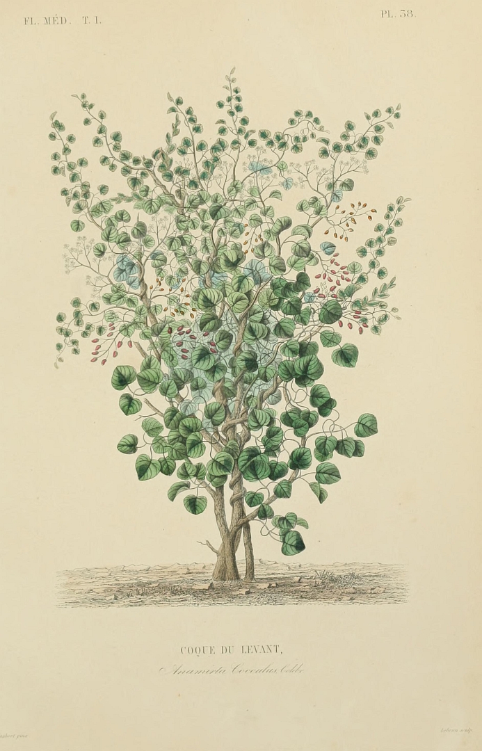 no HD illustration available (3)