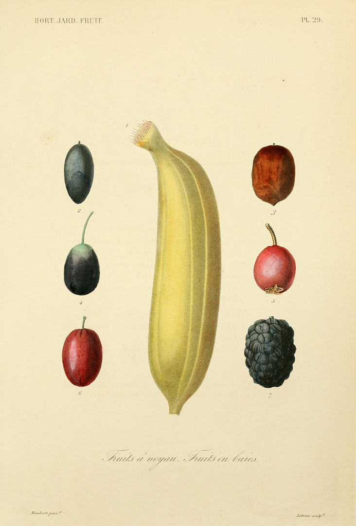 no HD illustration available (3)