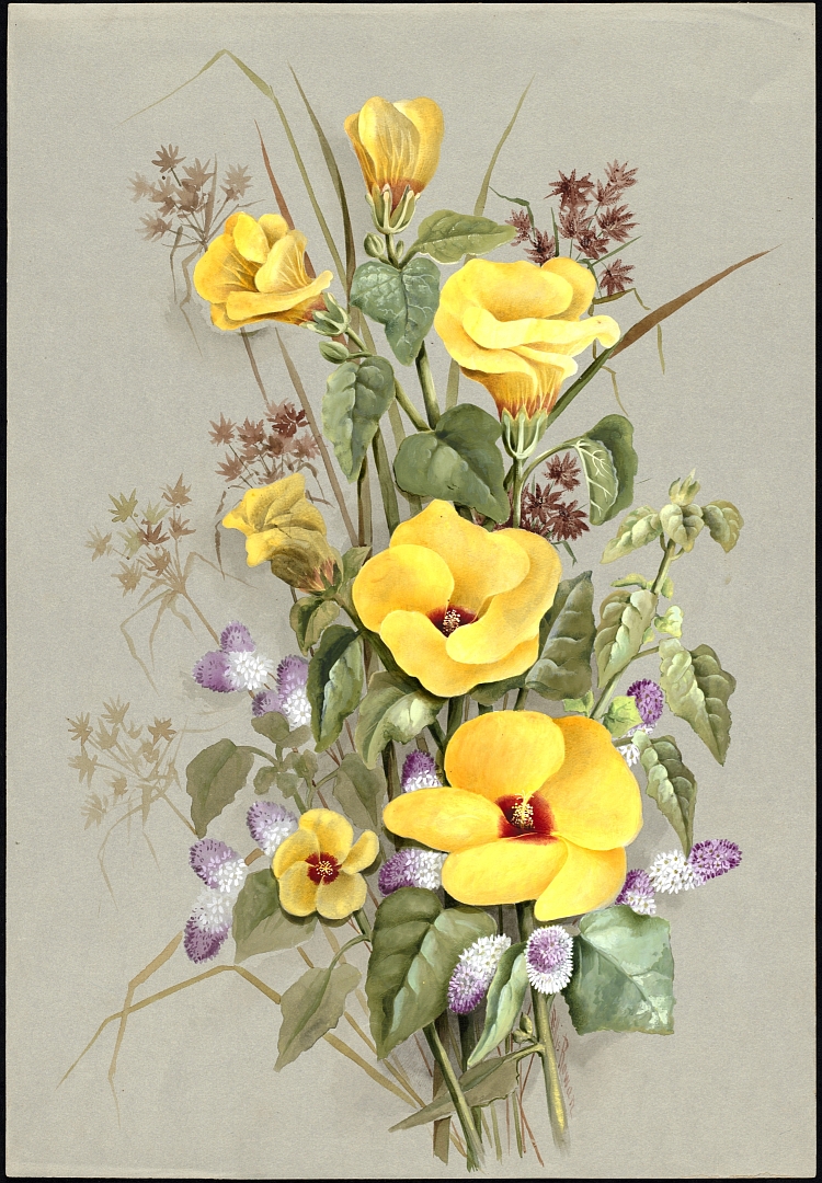 no HD illustration available (3)