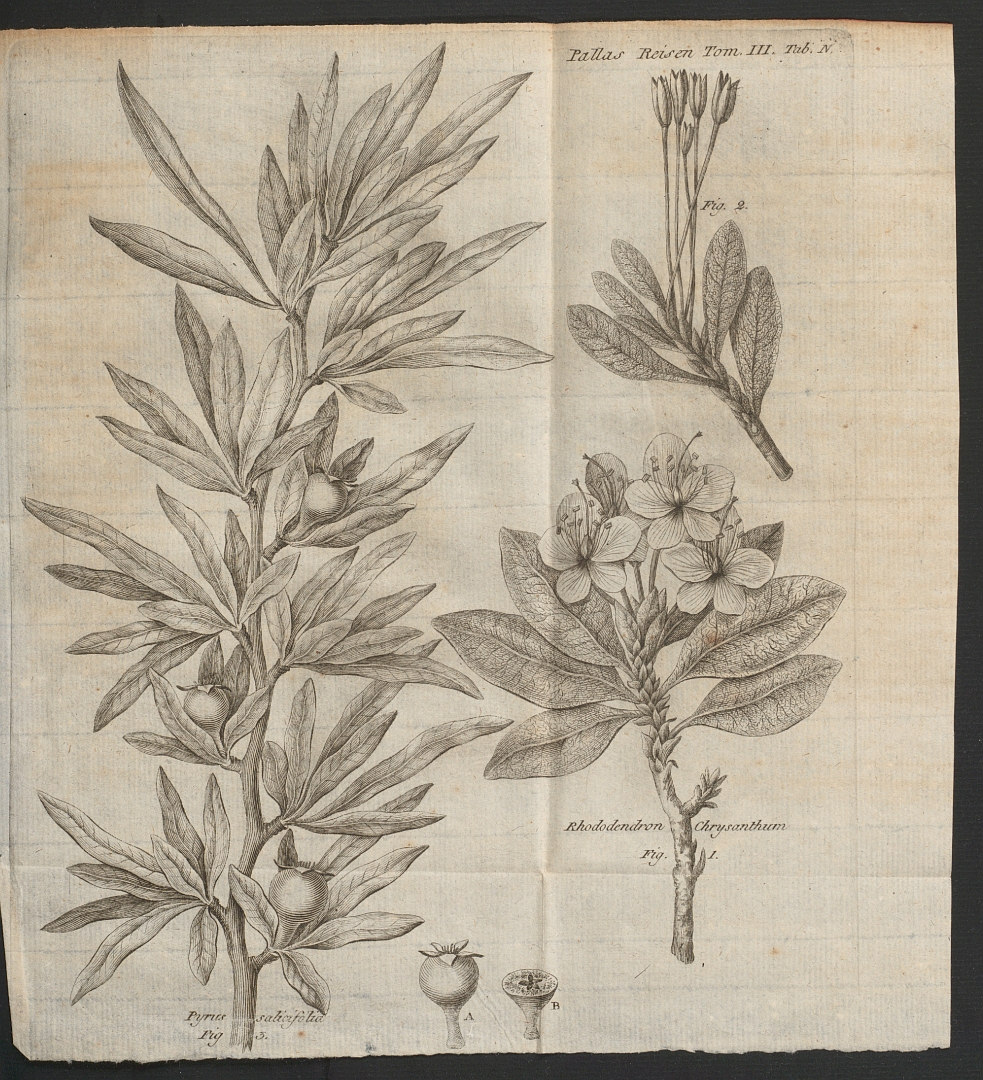 no HD illustration available (3)