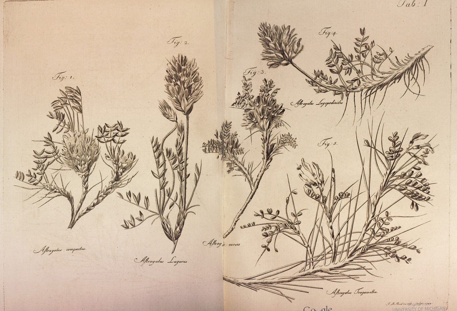 no HD illustration available (3)