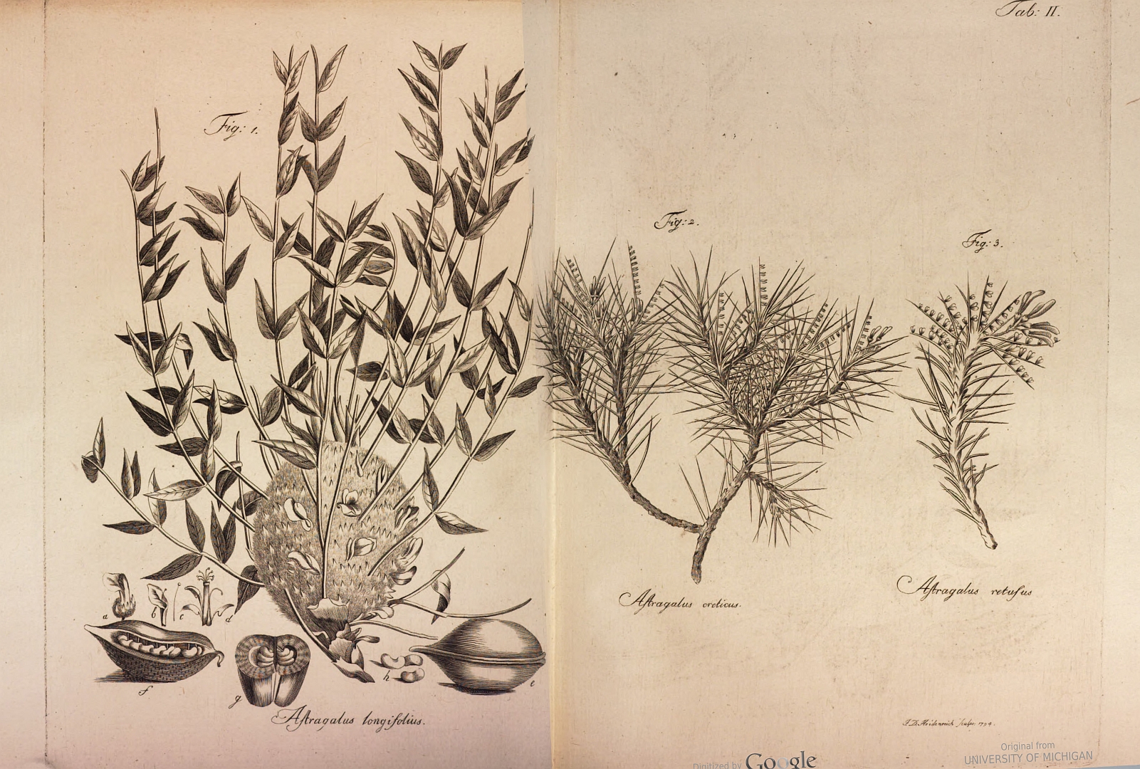 no HD illustration available (3)