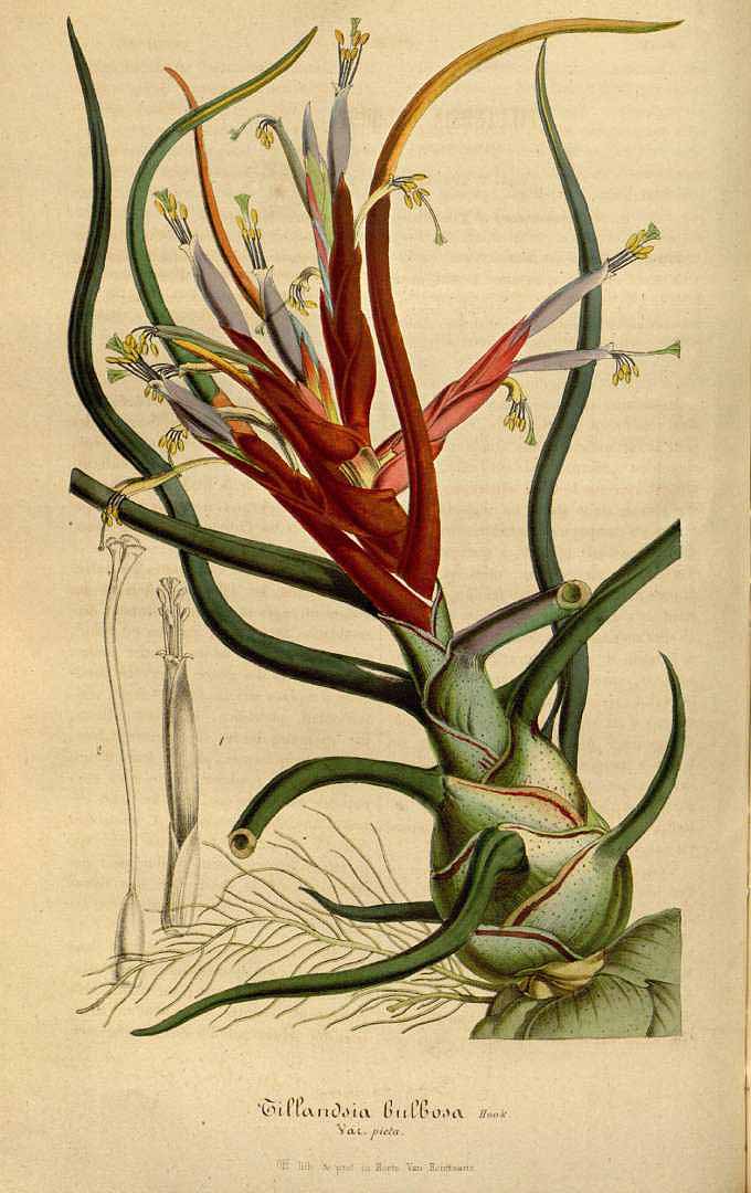 no HD illustration available (3)