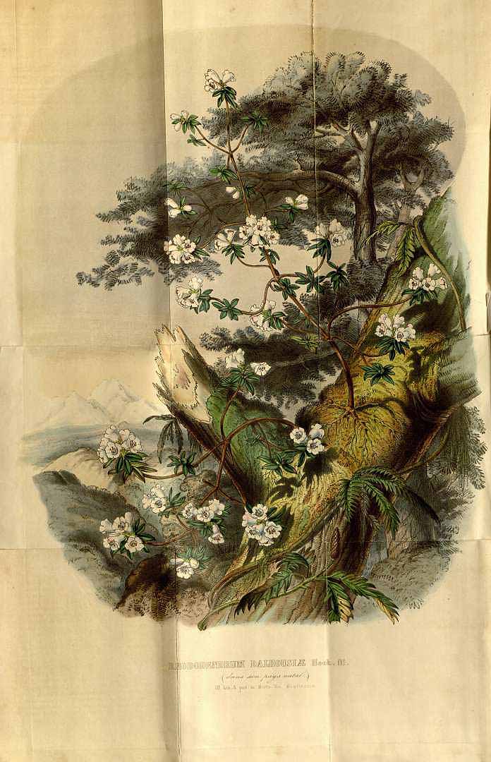 no HD illustration available (3)