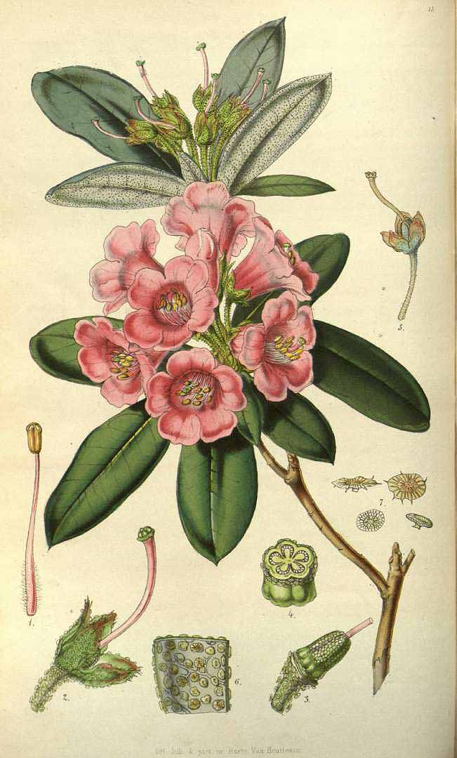 no HD illustration available (3)