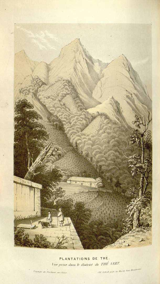 no HD illustration available (3)