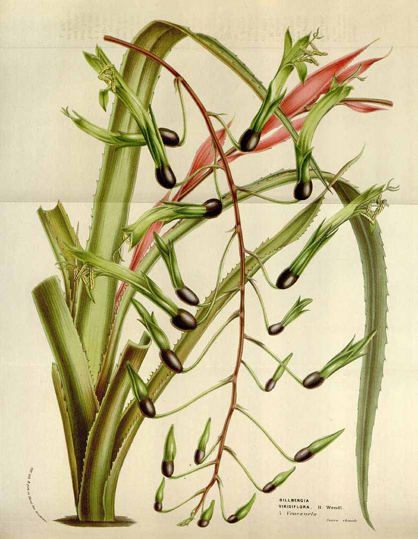 no HD illustration available (3)