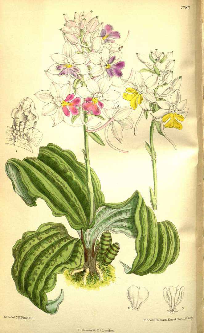 no HD illustration available (3)