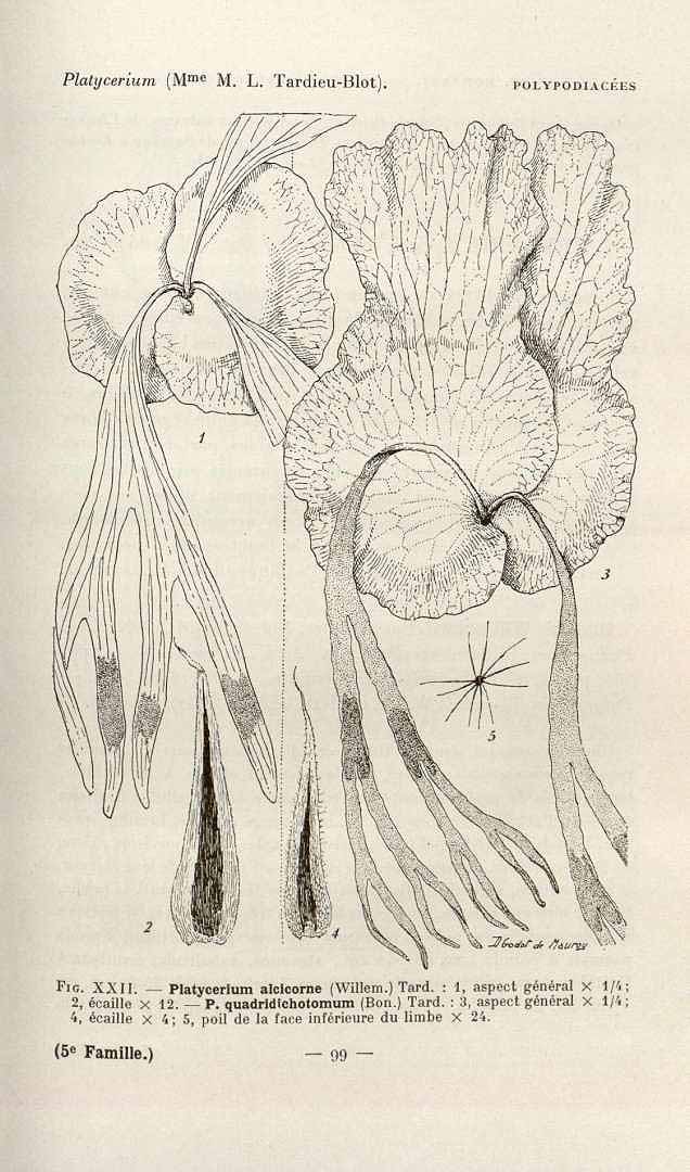 no HD illustration available (3)