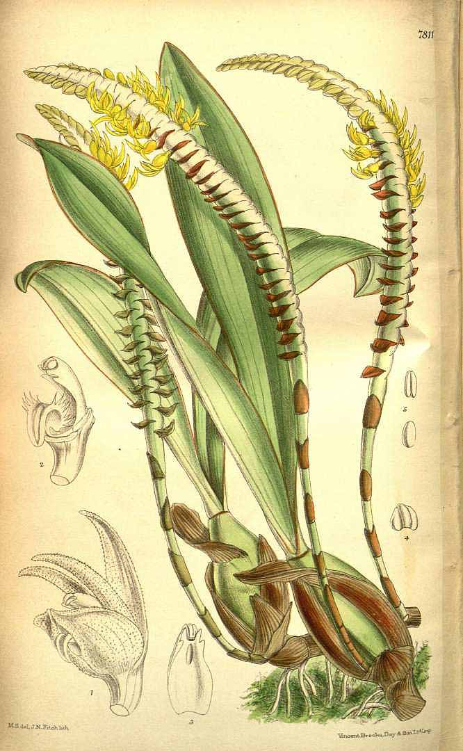 no HD illustration available (3)