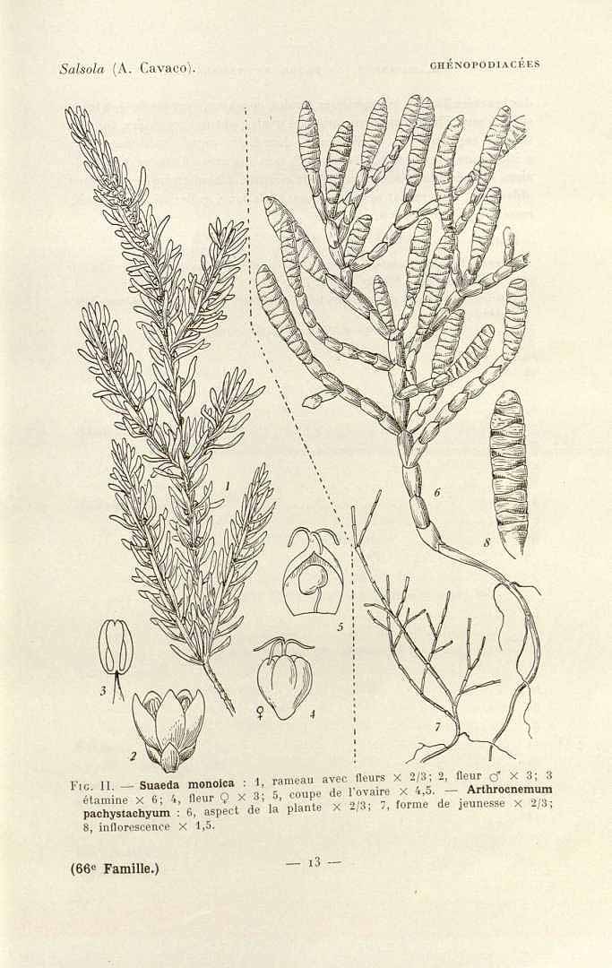 no HD illustration available (3)