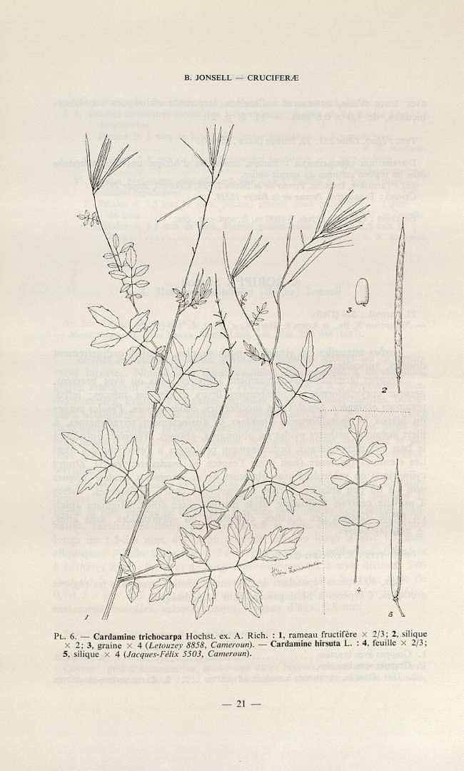 no HD illustration available (3)