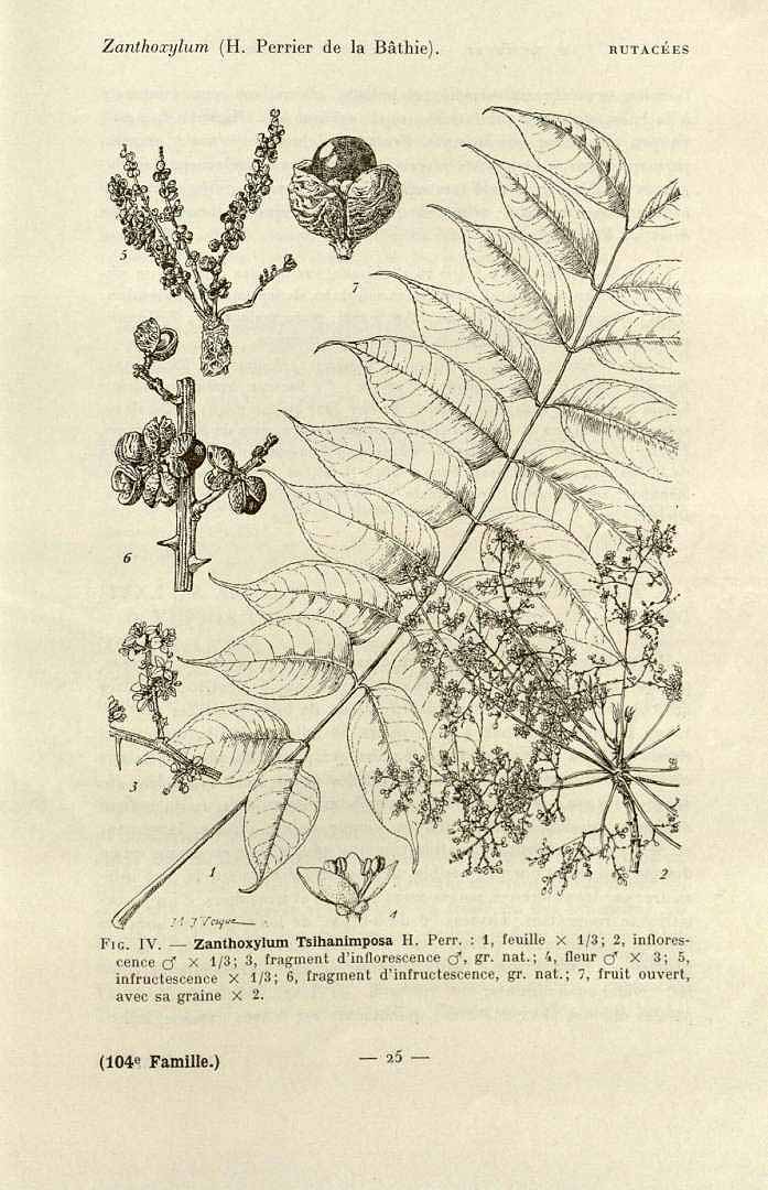 no HD illustration available (3)