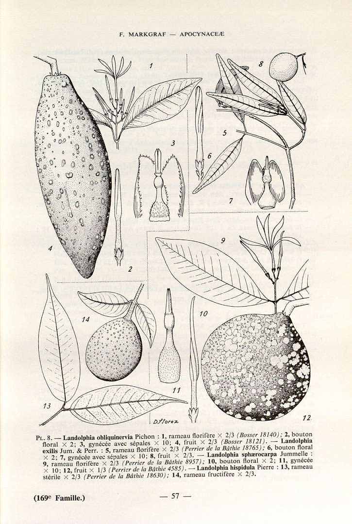 no HD illustration available (3)