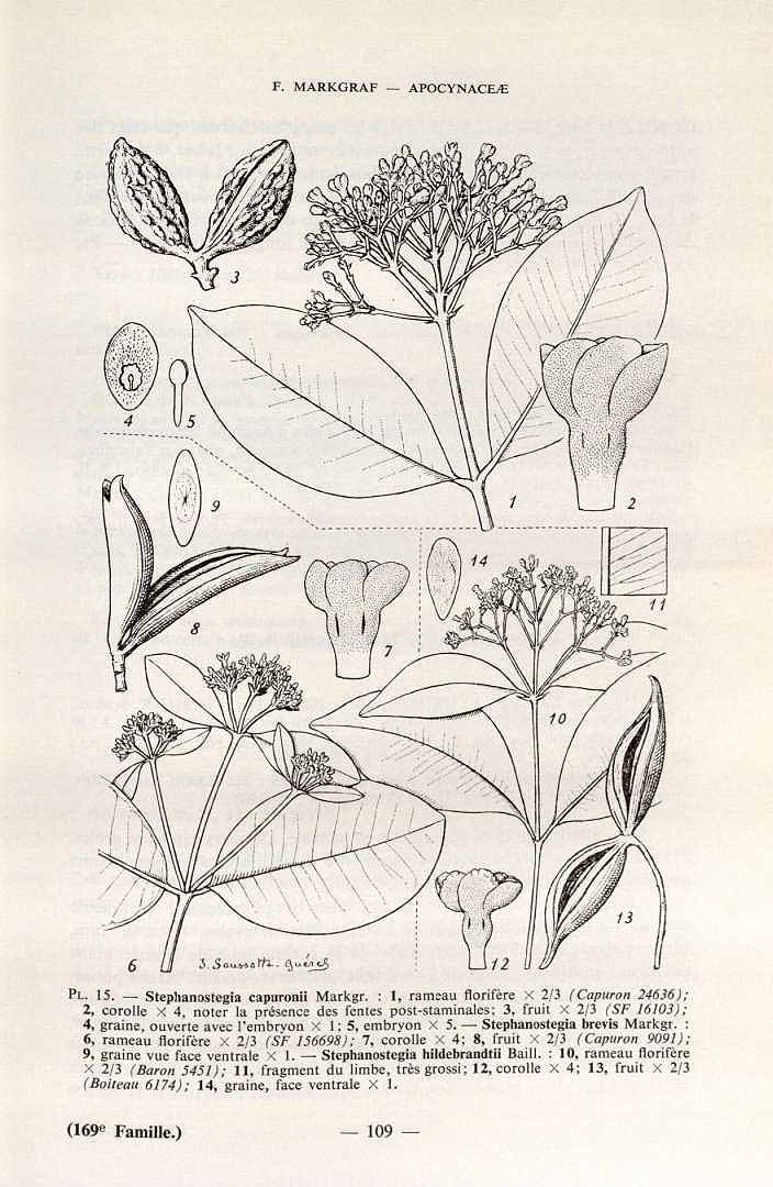 no HD illustration available (3)