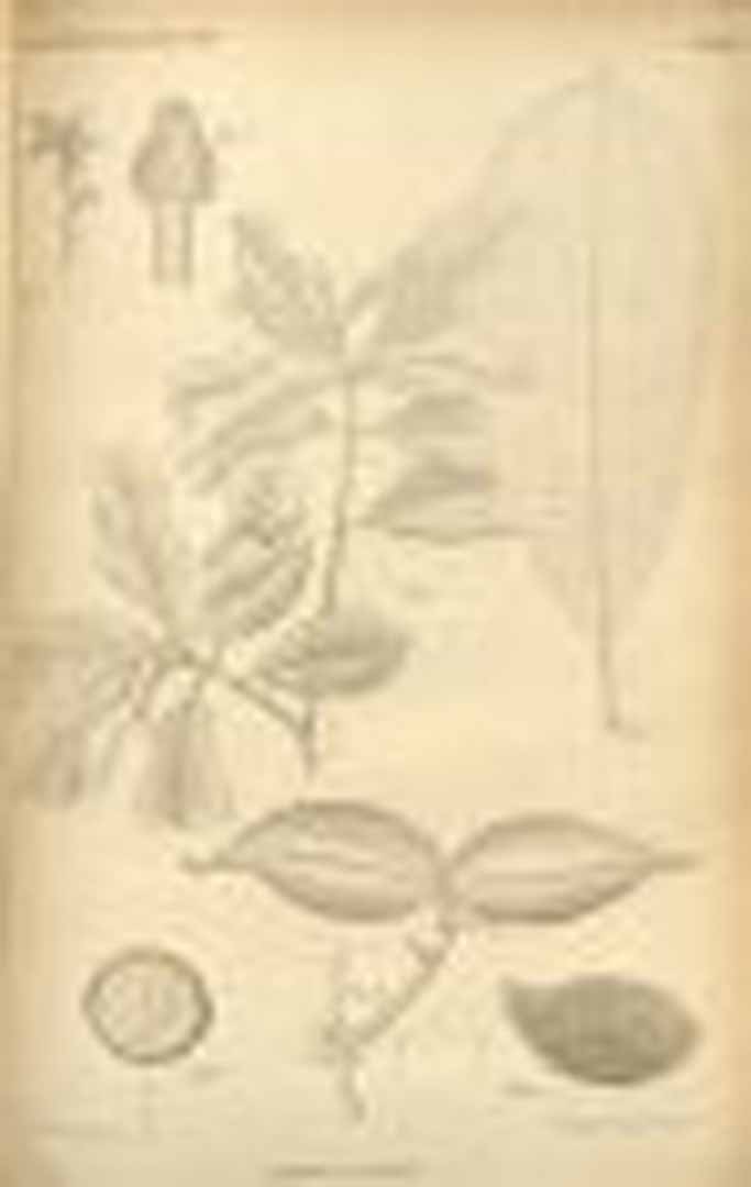 no HD illustration available (3)