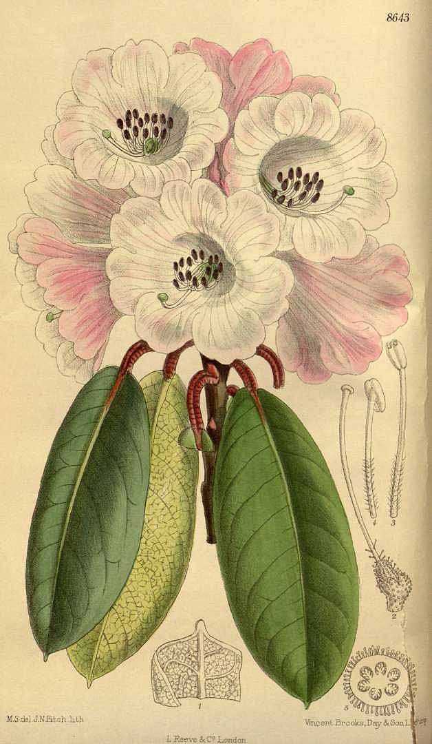 no HD illustration available (3)