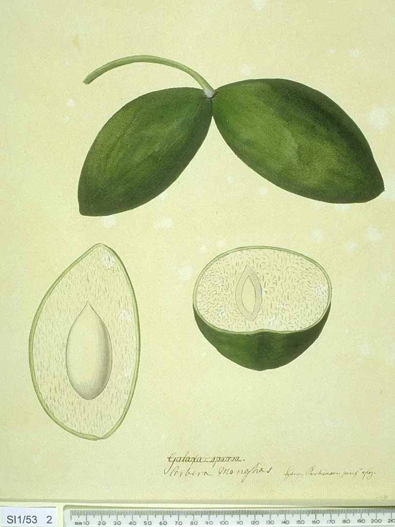 no HD illustration available (3)