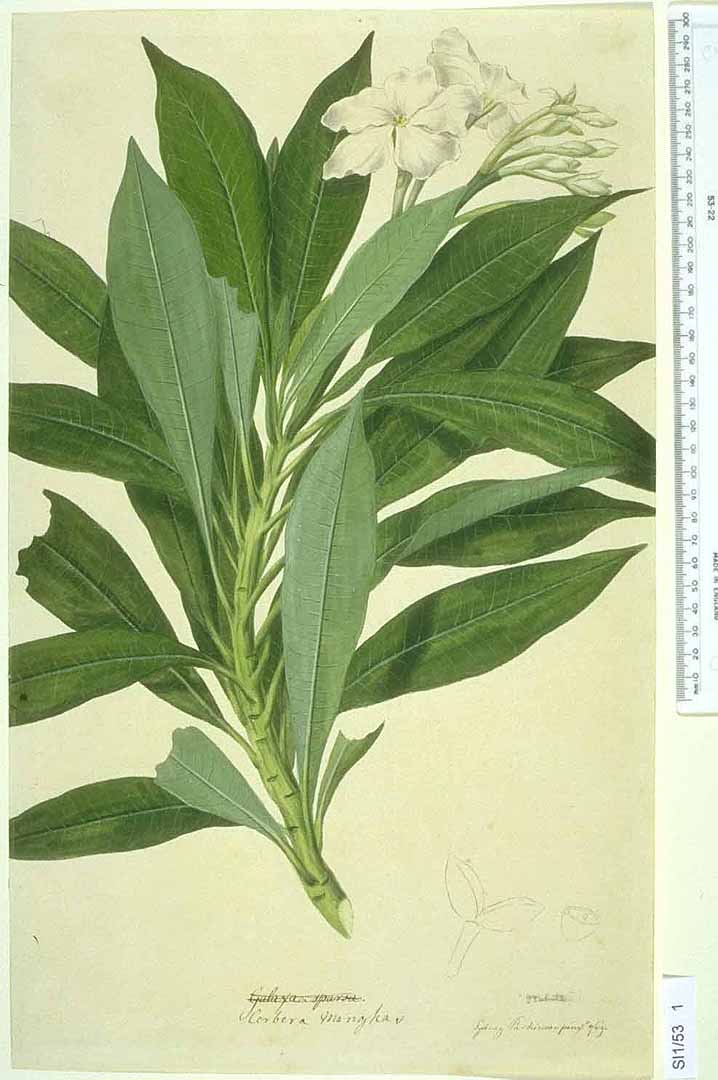 no HD illustration available (3)