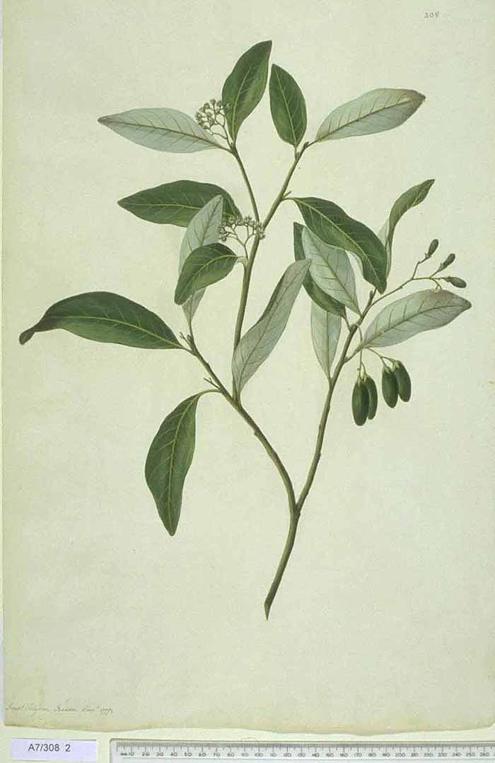 no HD illustration available (3)