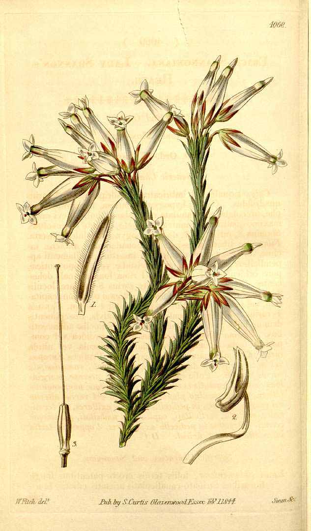 no HD illustration available (3)