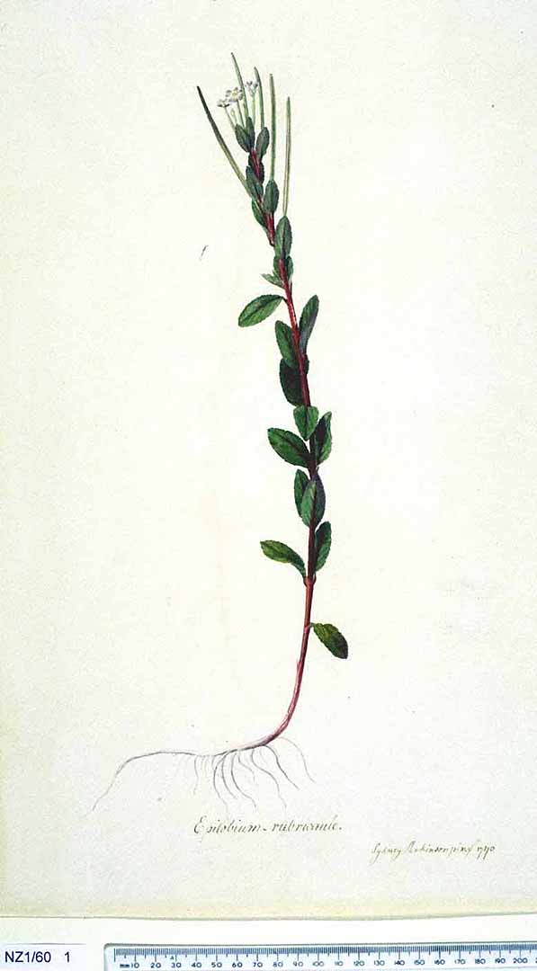 no HD illustration available (3)