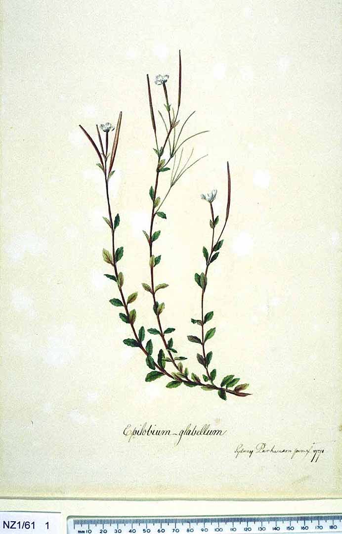 no HD illustration available (3)