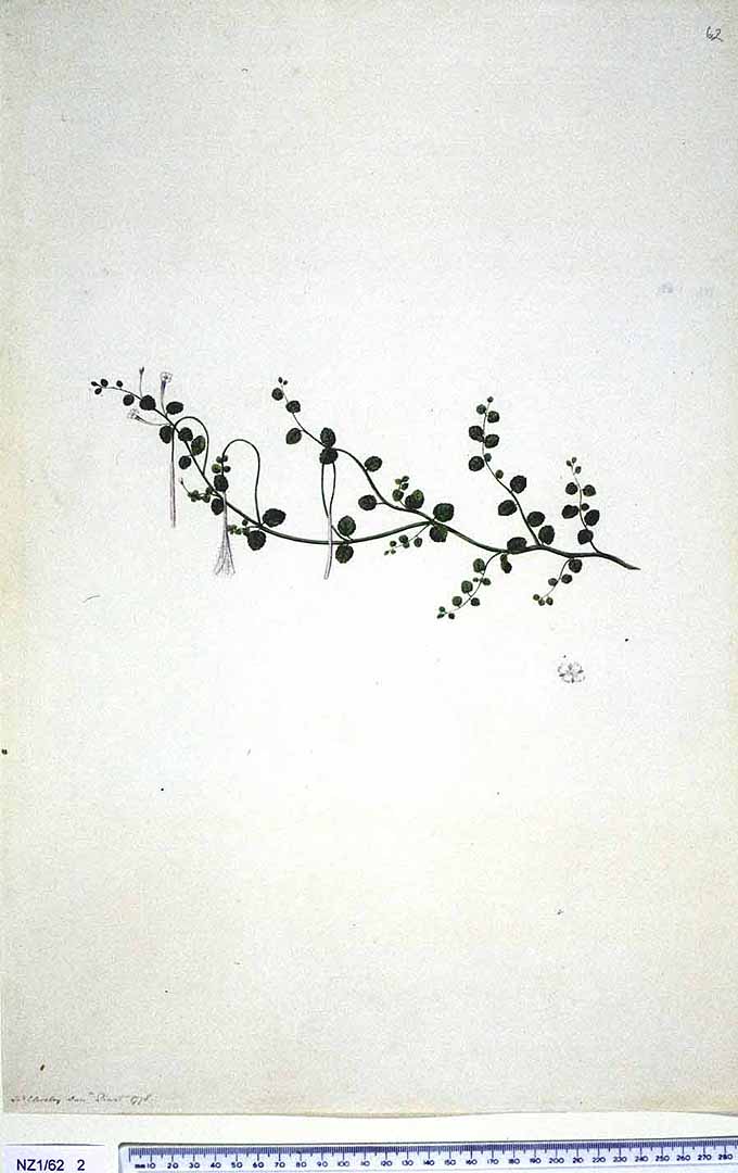 no HD illustration available (3)