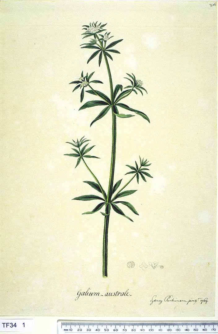 no HD illustration available (3)