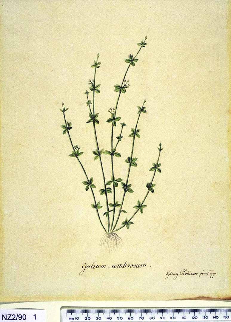 no HD illustration available (3)