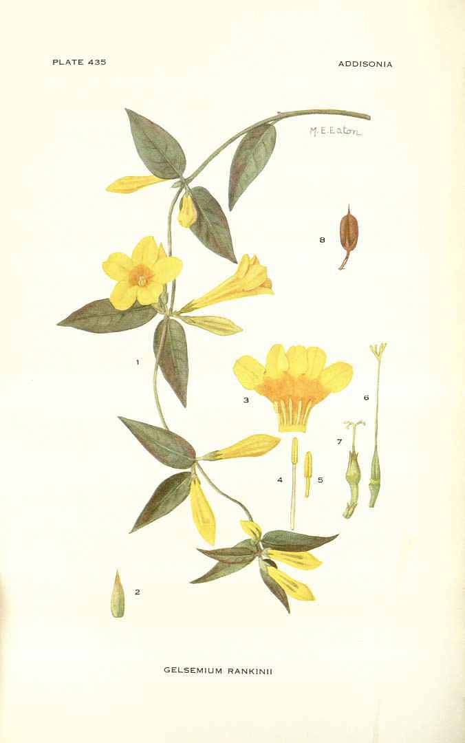 no HD illustration available (3)