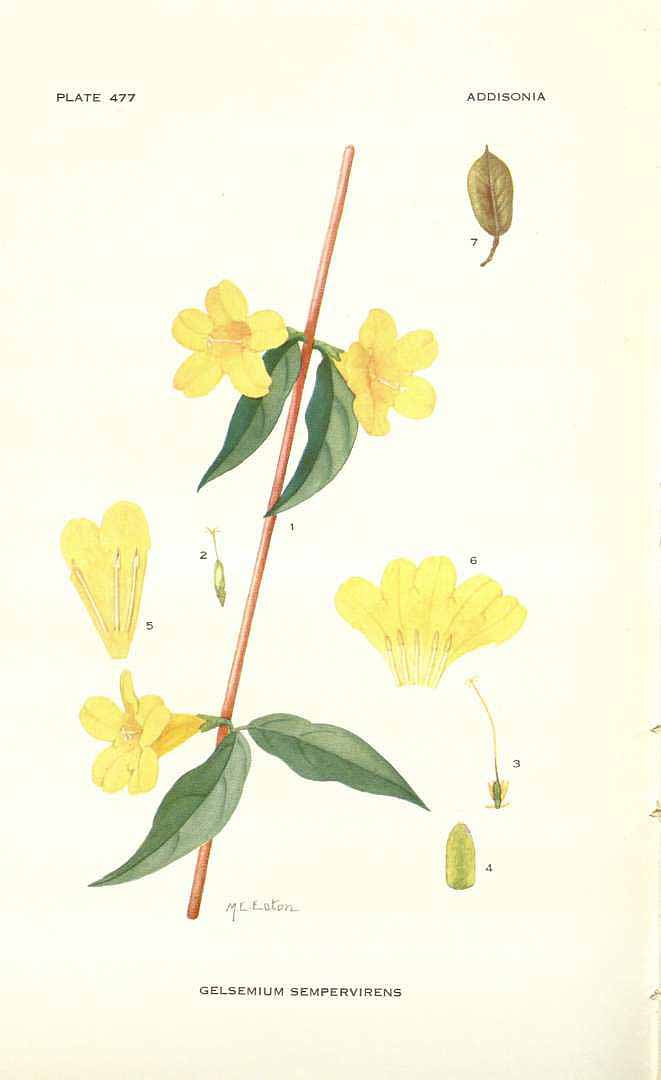 no HD illustration available (3)