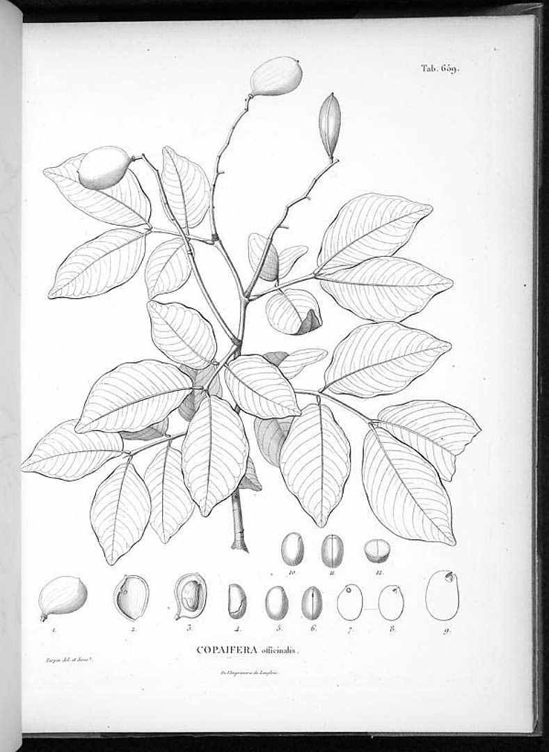 no HD illustration available (3)