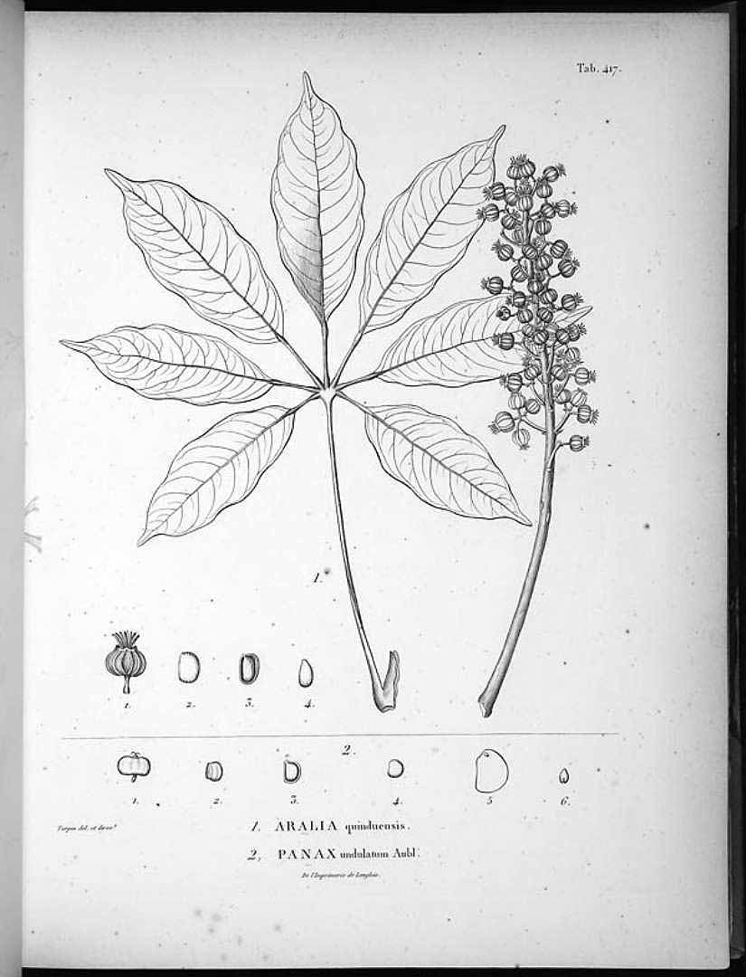 no HD illustration available (3)